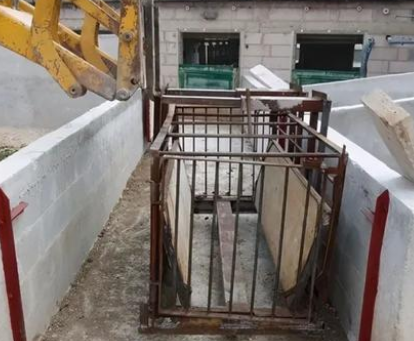 一臺環(huán)鏈電動葫蘆就可以解決母豬修蹄難題
